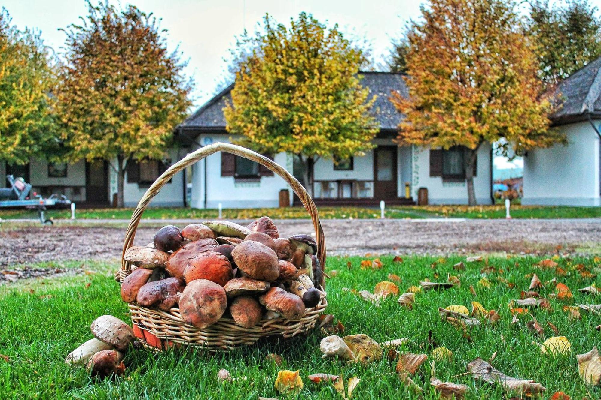 Bereg Holiday Park Svetlogorskoye 외부 사진